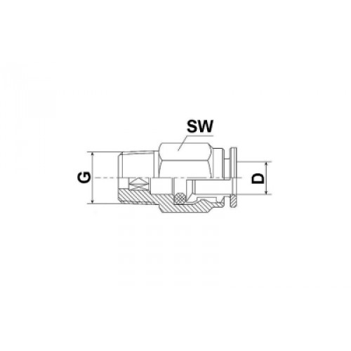 Gerade Steckverschraubung Push-In D6-1/8" BSP-SW12