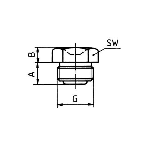 Trichter Schmiernippel D1 G 1/4 " , SW 14, DIN 3405, Form A, V2A Edelstahl